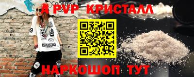 СК Тара