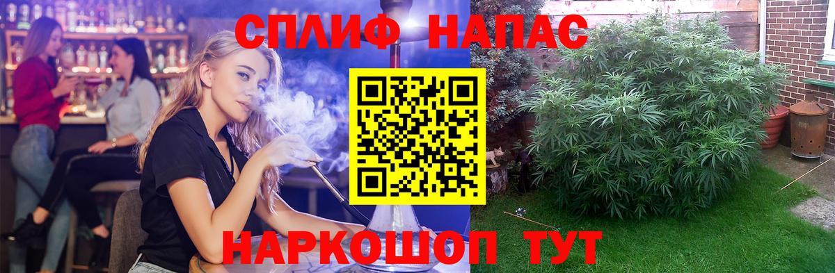 МАРИХУАНА THC 21%  Бошки Шишки THC 21%  Вход с VPN  Курск  Бошки Шишки план  Бошки марихуана семена 